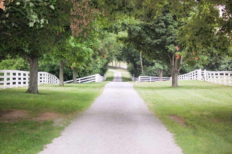Gravel Driveway Repair And Installation